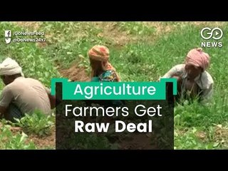 Crop Insurance: Firms Reap Harvest