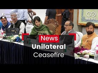 Unilateral Ceasefire