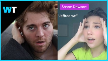 5 BEST Tik Tok's About Shane Dawson and Jeffree Star!