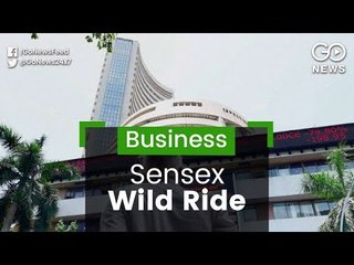 Sensex Wild Ride