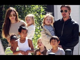Brad Pitt Agrees To Undergo Drug and Alcohol Testing For Sake Of Child Custody? | Hollywood High