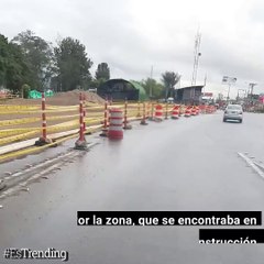 En medio de una transitada vía de Bogotá, ella logró hacer por este perro lo que parecía imposible...