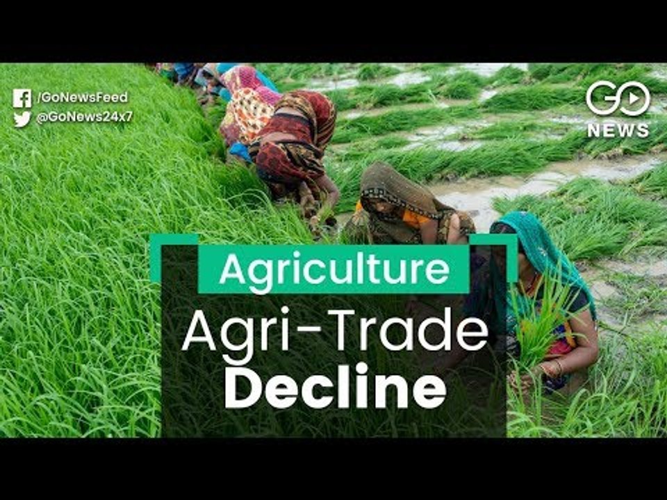 Agriculture Trade Share Falls