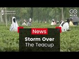 Tea Workers Protest Conditions