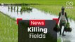 Killing Fields