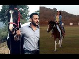 Iulia Vantur Rides Salman Khan's Horse | Bollywood News