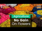 Flower Farmers Incur Losses