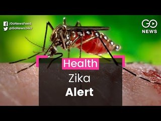 Zika Virus Symptoms