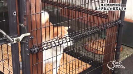 【ゴリパラ見聞録】秋田県・尾去沢鉱山を激写する旅後編