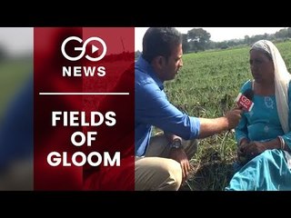 Mandsaur Farmers Remain In Distress