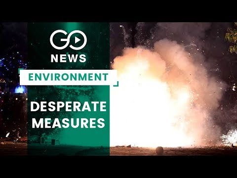 Desperate Times, Desperate Measures