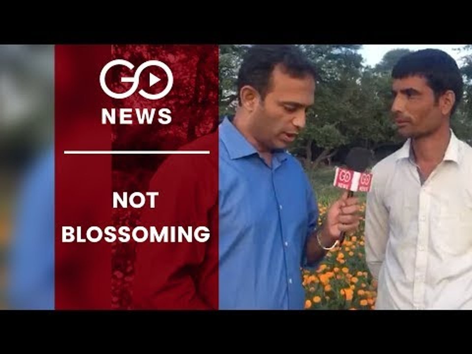 Election Special: Flower Growers Face Wilt