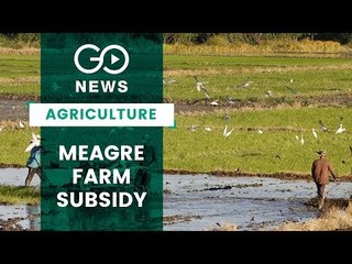 Is Farm Subsidy Helping Farmers?