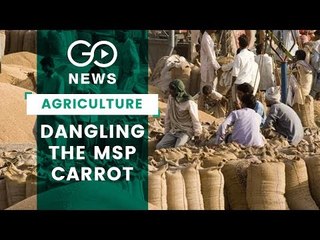 Crop Procurement Belies Govt Promises