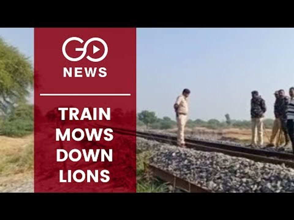 Gujarat: No State For Lions