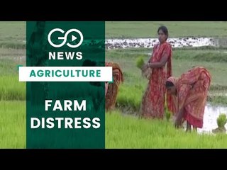 More Work, Less Farmland