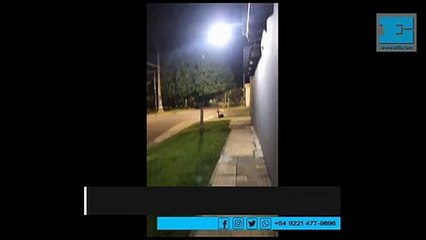 Sigue la conmoción: hicieron sonar las alarmas de seguridad en repudio al asesinato del joven repartidor de pizzas