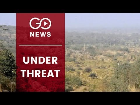 Blow To Aravali Forests Protection