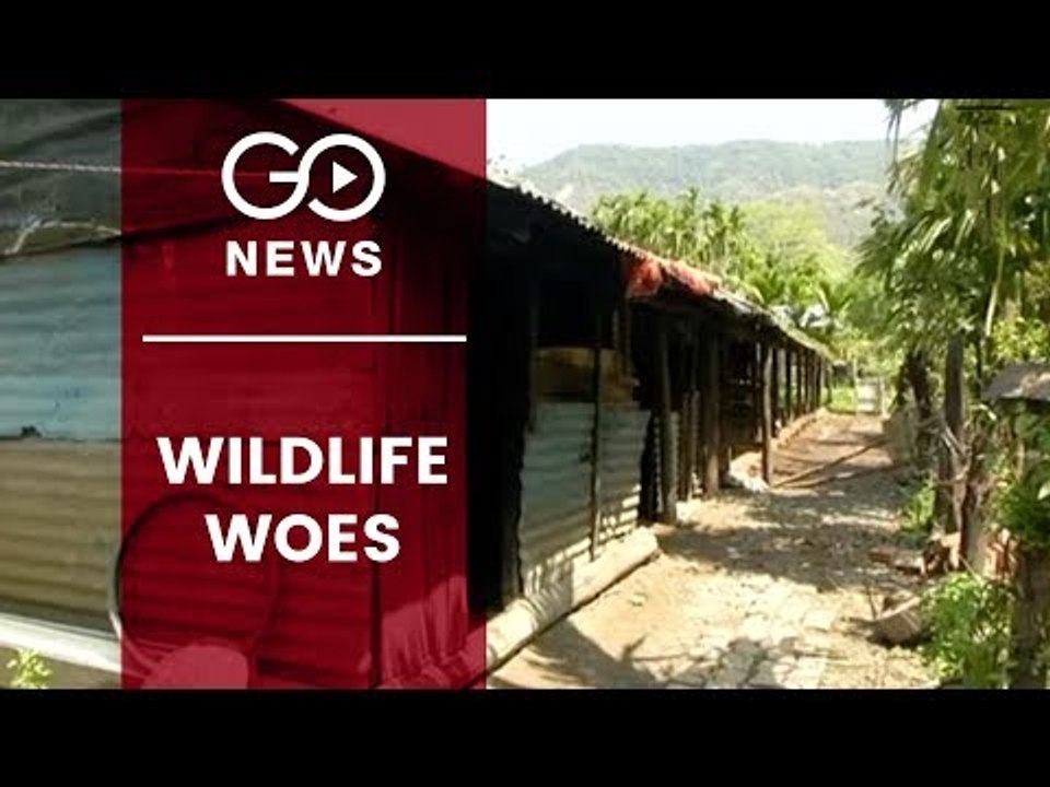 Neglected W.Bengal Village Sees Exodus