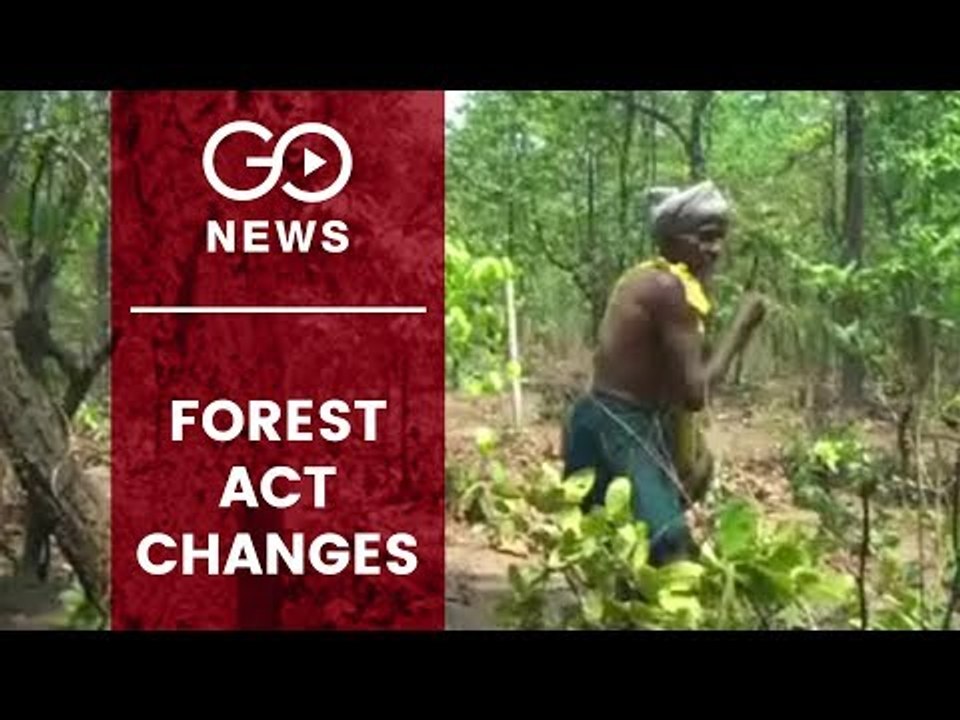 Proposed Forest Act Changes Raise Concern