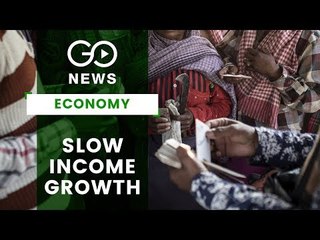 Per Capita Income Growth Rate Low