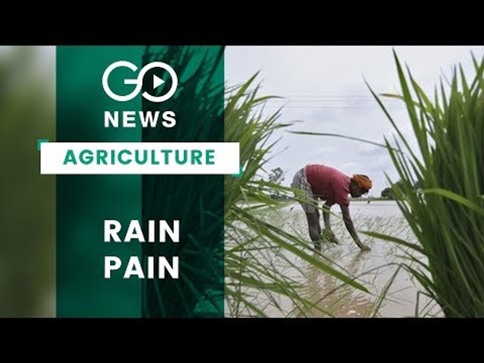 Shortfall In Pre-Monsoon Showers