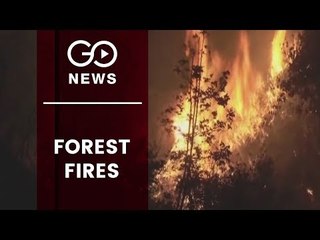 Wildfires Continue To Rage in Uttarakhand