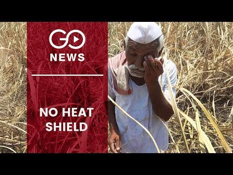 Farmers Left In Lurch As India's Water Crisis Deepens