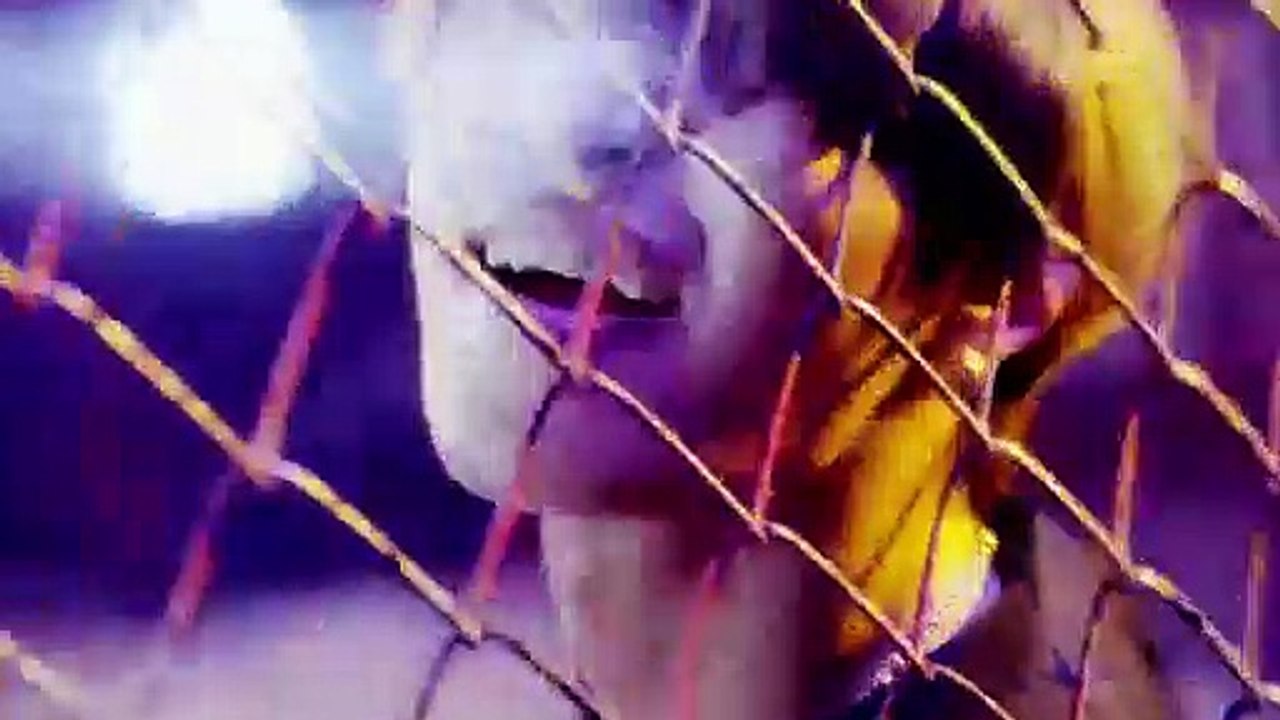 BIGBANG - 뱅뱅뱅 (BANG BANG BANG) M-V