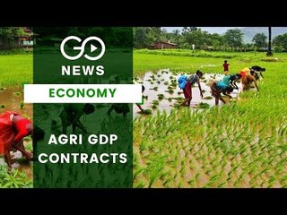 Agriculture, Manufacturing Pull Down GDP