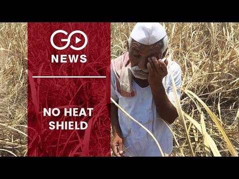 Farmers Left In Lurch As India's Water Crisis Deepens