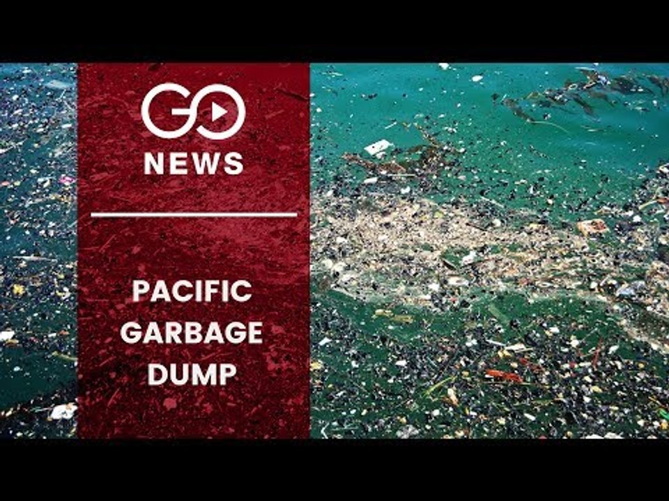 Plastic Plague In Oceans