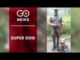 Canine Rescues Trapped Man In J&K