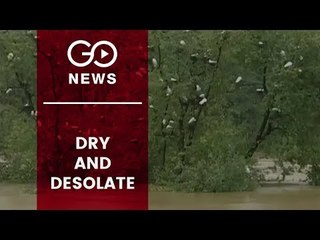 Migrant Birds Staying Away From Sanctuary