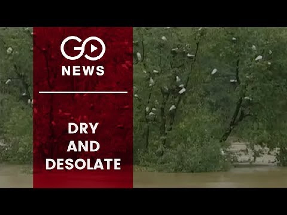 Migrant Birds Staying Away From Sanctuary