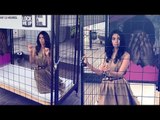 Cannes 2018: Mallika Sherawat locks herself in a Cage for 12 hours | SpotboyE