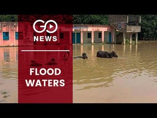 Flood Havoc Continues In Bihar & Assam