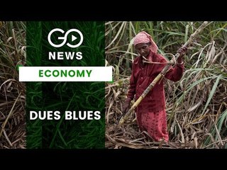Sugar Mills Owe Rs 17,518 Crores To Sugarcane Farmers