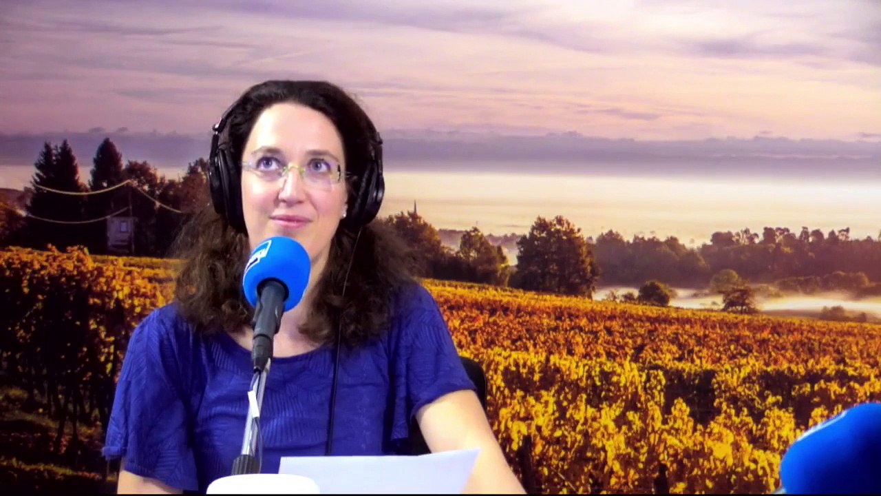 Kääsdi #32 - 8. Oktower - 's Sürkrütt