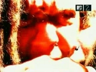 Chimaira - Pure Hatred