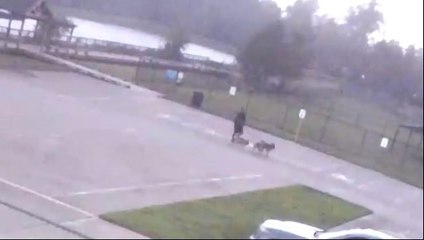 Köpeklerini gezdiren adama yıldırım çarptı