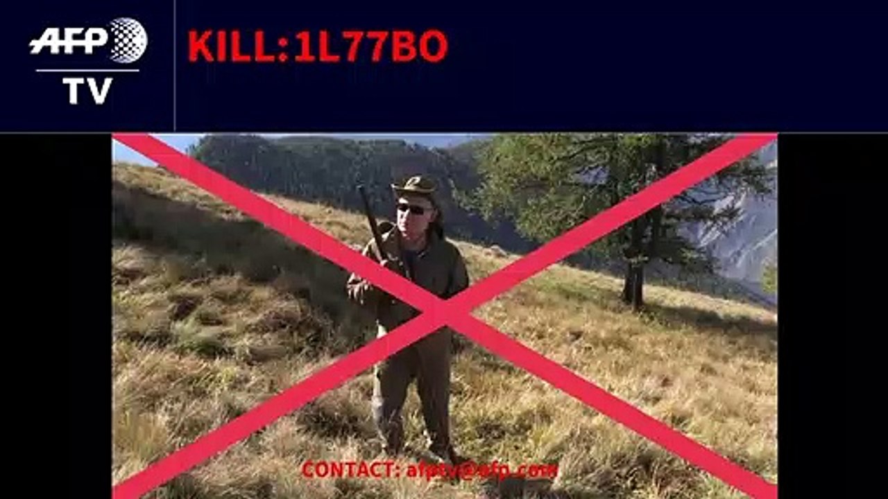 Putin sucht Pilze am Geburtstag