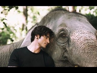 Junglee TRAILER OUT: Vidyut Jammwal Protects His Animal Kingdom From Poachers In This Action-Fest