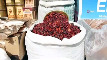 Mevsim geçişlerine doğal önlem 'Kuşburnu'