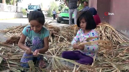 Türkiye'nin el süpürgeleri ve tohumları Samsun'dan