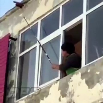 Décrocher un nid de guêpes (Fail)