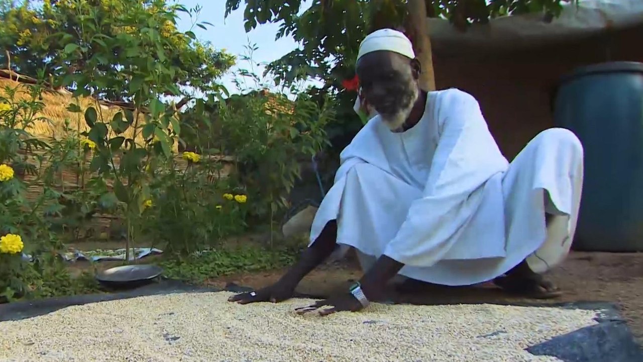 جبل مرة بالسودان طبيعة ساحرة وأجواء خلابة