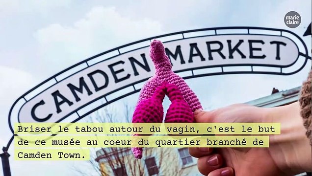 Le premier musée dédié au vagin va ouvrir à Londres