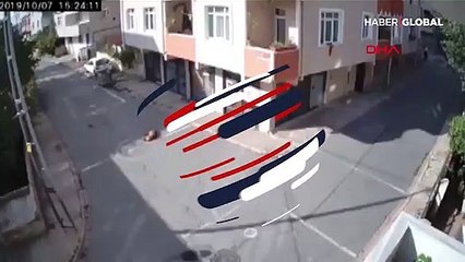 Uyuyan köpeği ezdi bir şey olmamış gibi devam etti