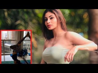 Mouni Roy Seen Performing the Pinch Mayurasan Before International Yoga Day Arrives
